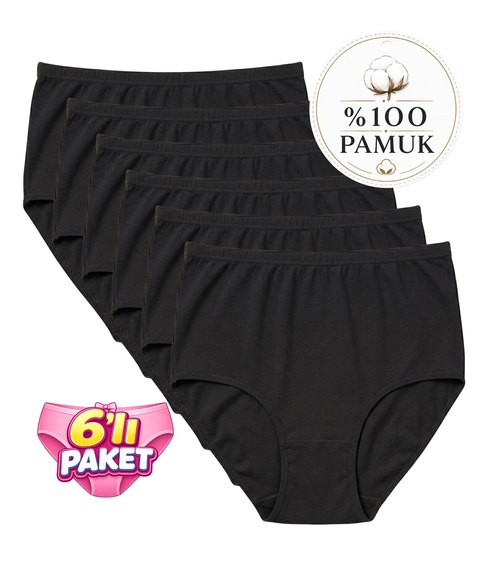6'lı Paket Büyük Beden Biyeli Bato Külot - SİYAH