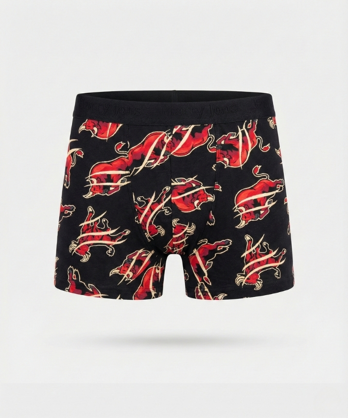 Desenli Likralı Erkek Boxer - BULL - 1