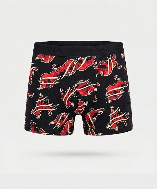 Desenli Likralı Erkek Boxer - BULL 